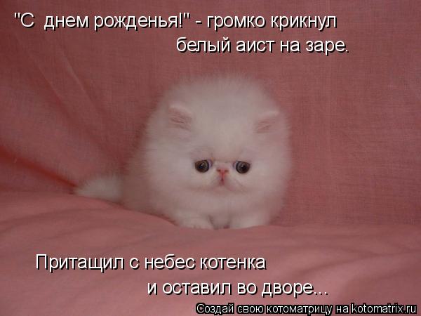 Котоматрица: "С  днем рожденья!" - громко крикнул белый аист на заре.  Притащил с небес котенка  и оставил во дворе...