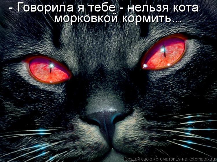 Котоматрица: - Говорила я тебе - нельзя кота морковкой кормить...