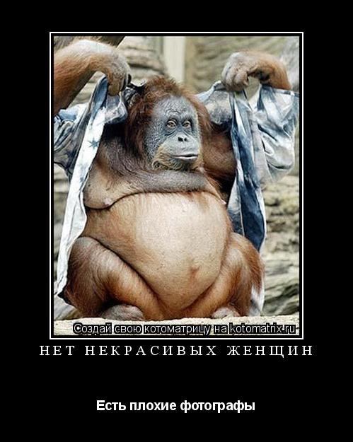 Нет некрасивых женщин Есть плохие фотографы... Котоматрица: Нет некрасивых женщин Есть плохие фотографы