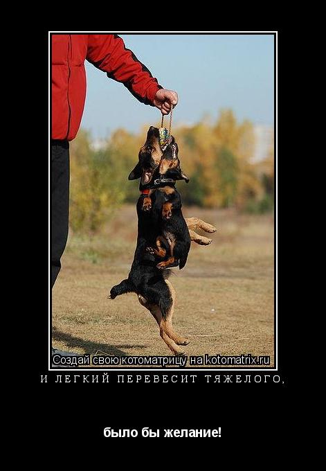 И легкий перевесит тяжелого, было бы желание!... Котоматрица: И легкий перевесит тяжелого, было бы желание!