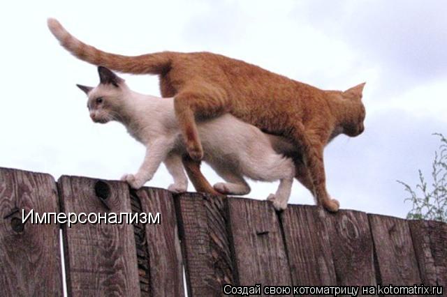 Котоматрица: Имперсонализм