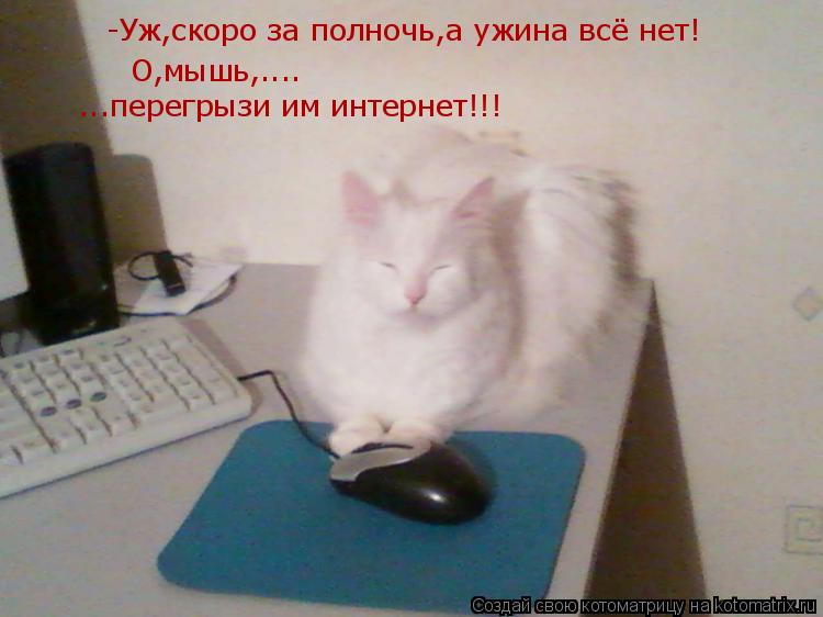 Котоматрица: -Уж,скоро за полночь,а ужина всё нет! О,мышь,.... ...перегрызи им интернет!!!