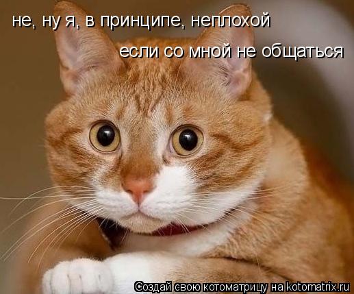 Котоматрица: не, ну я, в принципе, неплохой если со мной не общаться