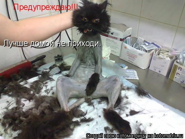 Котоматрица: Предупреждаю!!! Лучше домой не приходи.
