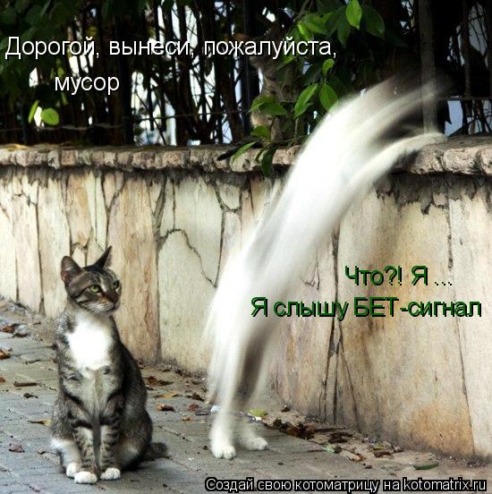 Котоматрица: Дорогой, вынеси, пожалуйста, мусор Я слышу БЕТ-сигнал Что?! Я ...