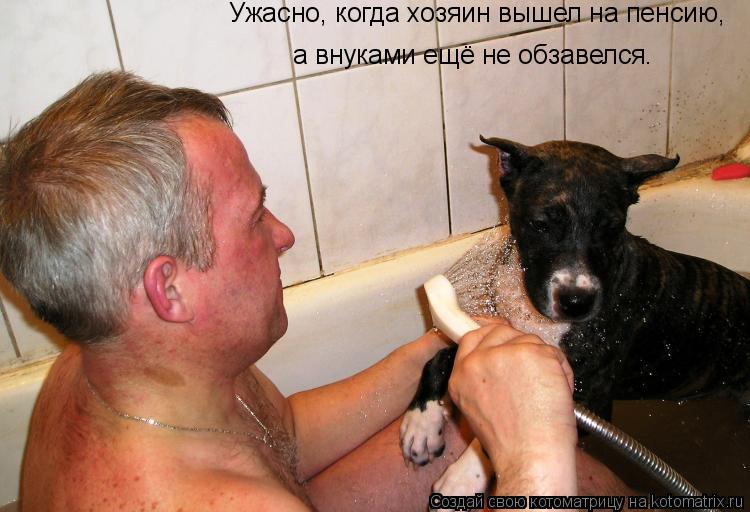 Котоматрица: Ужасно, когда хозяин вышел на пенсию,  а внуками ещё не обзавелся.