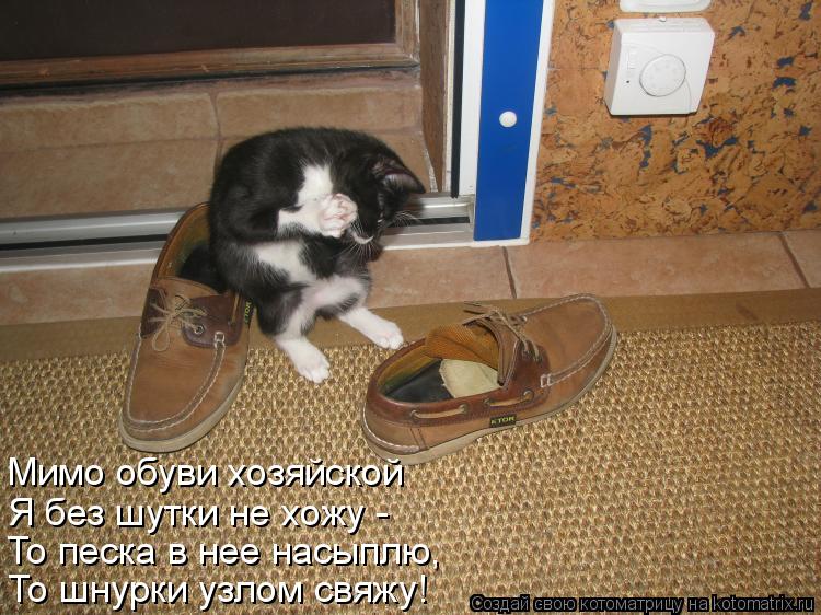 Мимо обуви хозяйской Я без шутки не хожу - То песка в нее насыплю, То шнурки узлом свяжу!... Котоматрица: Мимо обуви хозяйской Я без шутки не хожу - То песка в нее насыплю, То шнурки узлом свяжу!