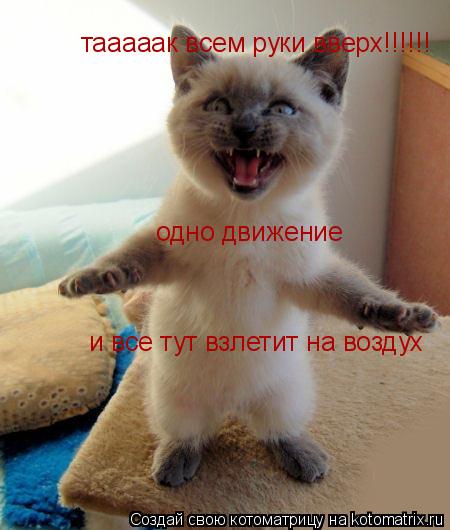 Котоматрица: одно движение  и все тут взлетит на воздух тааааак всем руки вверх!!!!!!