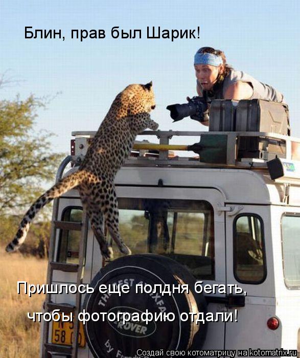 Котоматрица: Блин, прав был Шарик! Пришлось еще полдня бегать, чтобы фотографию отдали!