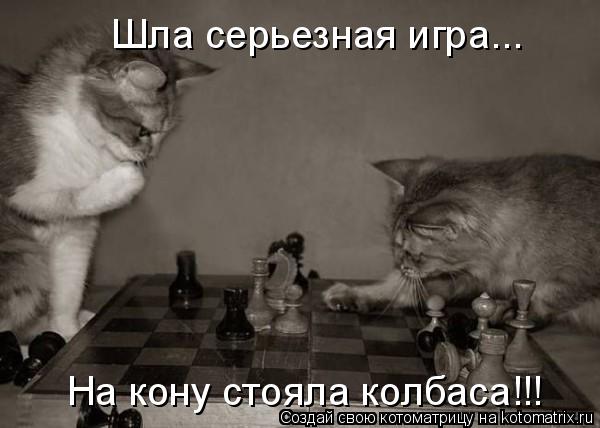 Котоматрица: Шла серьезная игра... На кону стояла колбаса!!!