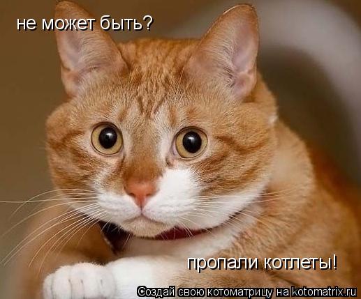 Котоматрица: не может быть? пропали котлеты!