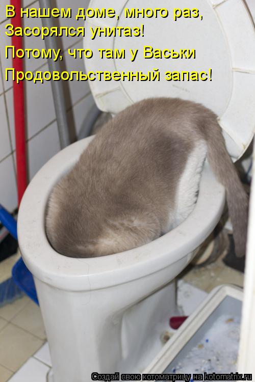 В нашем доме, много раз, Засорялся унитаз! Потому, что там у Васьки Продовольственный запас!... Котоматрица: В нашем доме, много раз, Засорялся унитаз! Потому, что там у Васьки Продовольственный запас!