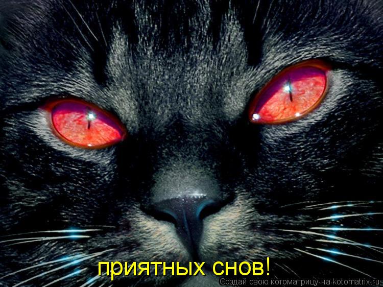 приятных снов!... Котоматрица: приятных снов!