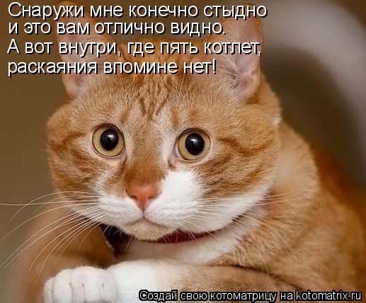 Снаружи мне конечно стыдно и это вам отлично видно. А вот внутри, где пять котлет, раскаяния впом... Котоматрица: Снаружи мне конечно стыдно и это вам отлично видно. А вот внутри, где пять котлет, раскаяния впомине нет!