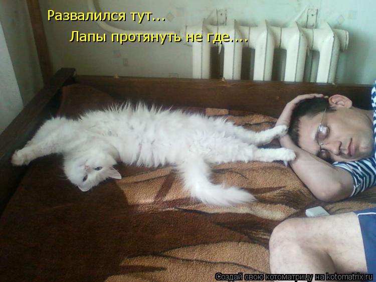 Лапы протянуть не где.... Развалился тут...... Котоматрица: Лапы протянуть не где.... Развалился тут...