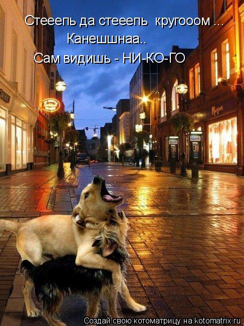 Стееепь да стееепь кругооом ... Канешшнаа.. Сам видишь - НИ-КО-ГО... Котоматрица: Стееепь да стееепь кругооом ... Канешшнаа.. Сам видишь - НИ-КО-ГО