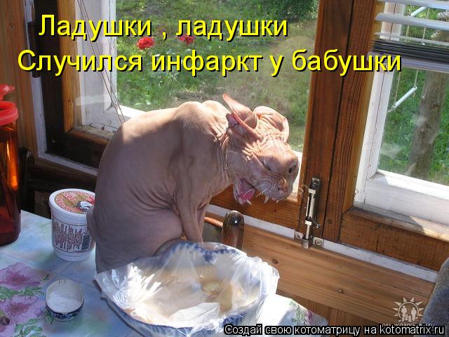 Ладушки , ладушки Случился инфаркт у бабушки... Котоматрица: Ладушки , ладушки Случился инфаркт у бабушки