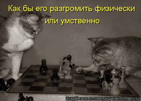 Как бы его разгромить физически или умственно... Котоматрица: Как бы его разгромить физически или умственно