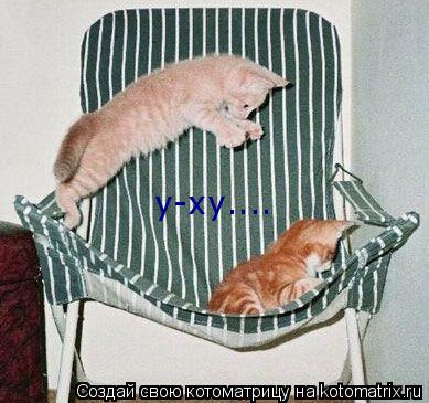 у-ху....... Котоматрица: у-ху....