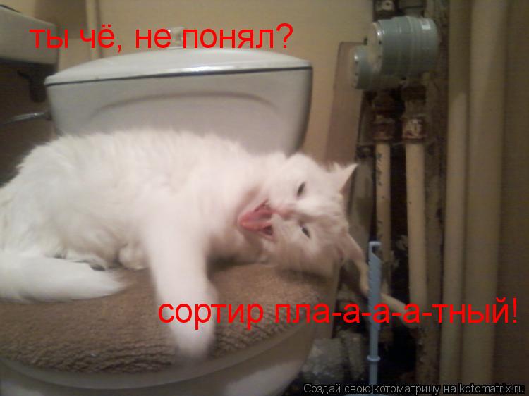 ты чё, не понял? сортир пла-а-а-а-тный!... Котоматрица: ты чё, не понял? сортир пла-а-а-а-тный!