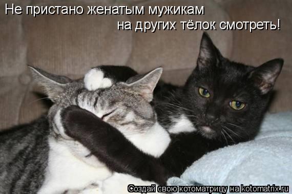 Не пристано женатым мужикам на других тёлок смотреть!... Котоматрица: Не пристано женатым мужикам на других тёлок смотреть!