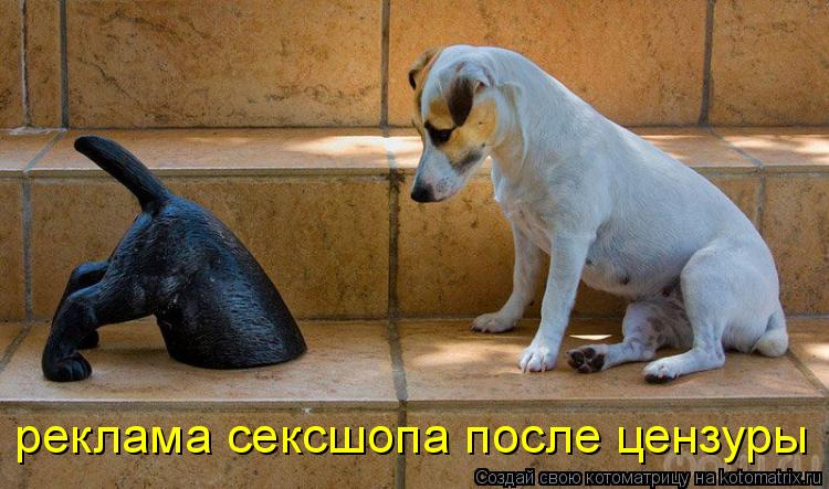реклама сексшопа после цензуры... Котоматрица: реклама сексшопа после цензуры
