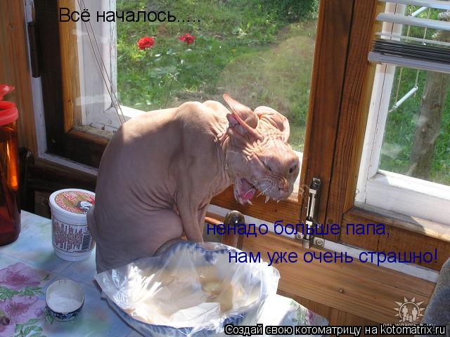 Всё началось..... ненадо больше папа, нам уже очень страшно!... Котоматрица: Всё началось..... ненадо больше папа, нам уже очень страшно!