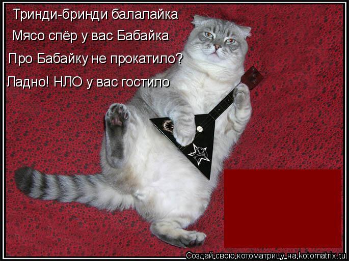 Котоматрица: Тринди-бринди балалайка  Мясо спёр у вас Бабайка Про Бабайку не прокатило? Ладно! НЛО у вас гостило