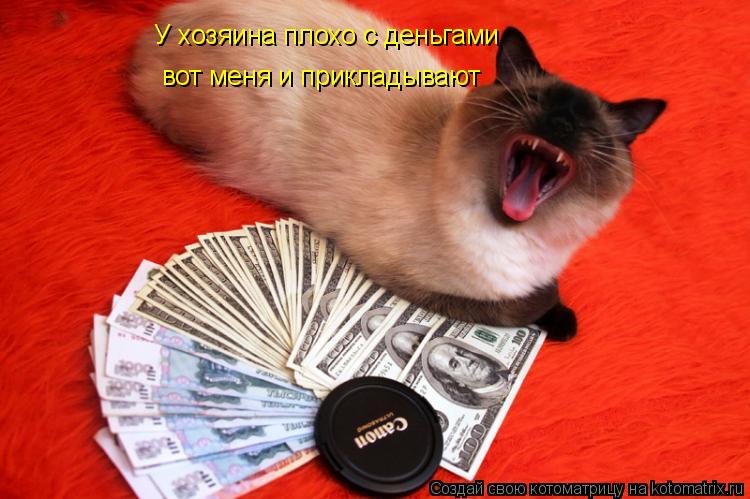 Котоматрица: У хозяина плохо с деньгами вот меня и прикладывают