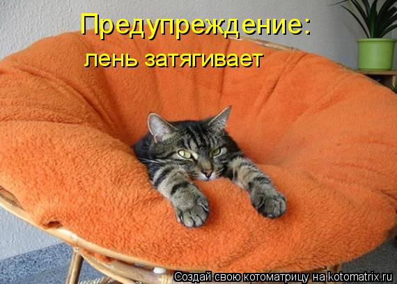 Котоматрица: Предупреждение: лень затягивает