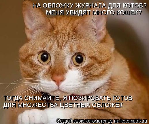 Котоматрица: МЕНЯ УВИДЯТ МНОГО КОШЕК? НА ОБЛОЖКУ ЖУРНАЛА ДЛЯ КОТОВ? ТОГДА СНИМАЙТЕ, Я ПОЗИРОВАТЬ ГОТОВ ДЛЯ МНОЖЕСТВА ЦВЕТНЫХ ОБЛОЖЕК