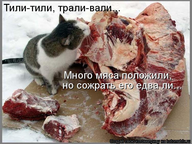 Котоматрица: Тили-тили, трали-вали... Много мяса положили,  но сожрать его едва ли...