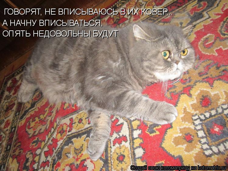 Котоматрица: ГОВОРЯТ, НЕ ВПИСЫВАЮСЬ В ИХ КОВЕР... ГОВОРЯТ, НЕ ВПИСЫВАЮСЬ В ИХ КОВЕР... А НАЧНУ ВПИСЫВАТЬСЯ,  ОПЯТЬ НЕДОВОЛЬНЫ БУДУТ