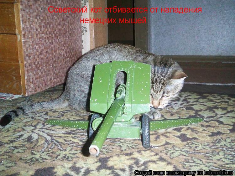 Котоматрица: Советский кот отбивается от нападения немецких мышей
