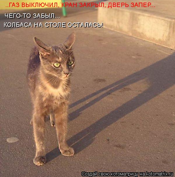Котоматрица: ЧЕГО-ТО ЗАБЫЛ...  КОЛБАСА НА СТОЛЕ ОСТАЛАСЬ!  ..ГАЗ ВЫКЛЮЧИЛ, КРАН ЗАКРЫЛ, ДВЕРЬ ЗАПЕР...