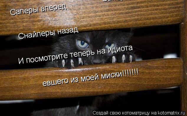 Котоматрица: Саперы вперед Саперы вперед Снайперы назад И посмотрите теперь на идиота  евшего из моей миски!!!!!!!