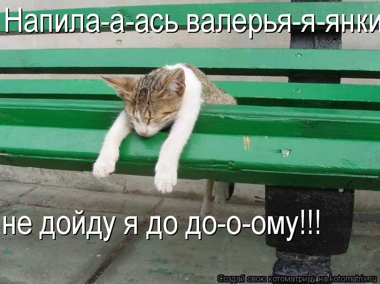 Котоматрица: Напила-а-ась валерья-я-янки, не дойду я до до-о-ому!!!