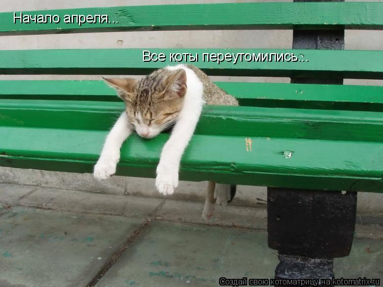 Котоматрица: Начало апреля... Все коты переутомились...
