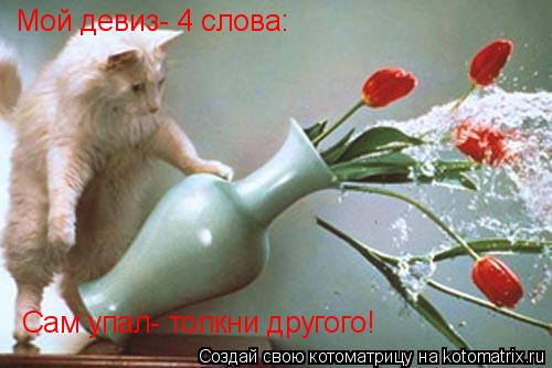 Котоматрица: Сам упал- толкни другого! Мой девиз- 4 слова: