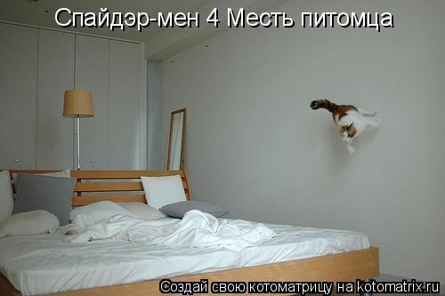 Котоматрица: Спайдэр-мен 4 Месть питомца