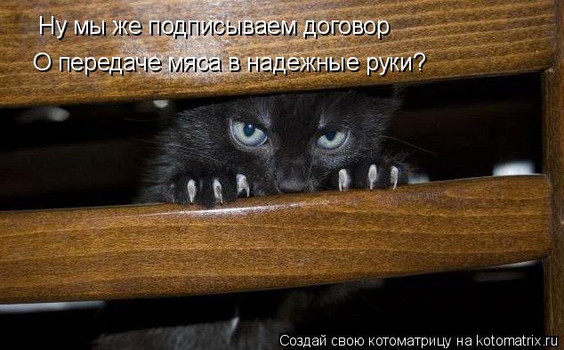 Котоматрица: Ну мы же подписываем договор О передаче мяса в надежные руки?
