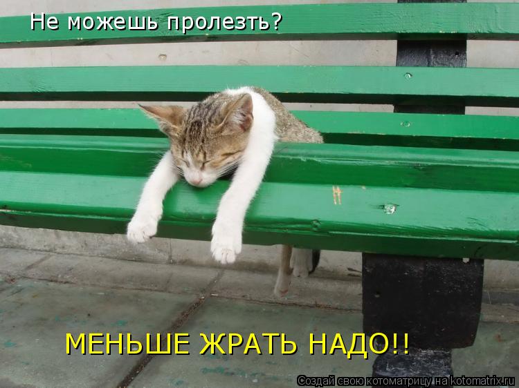 Котоматрица: Не можешь пролезть? МЕНЬШЕ ЖРАТЬ НАДО!!