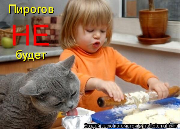 Котоматрица: Пирогов  будет НЕ