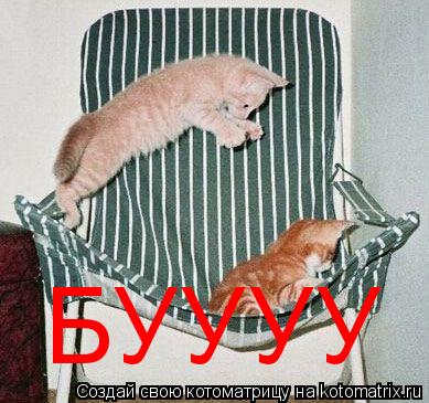 Котоматрица: БУУУУ