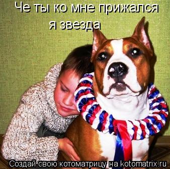 Котоматрица: Че ты ко мне прижался  я звезда