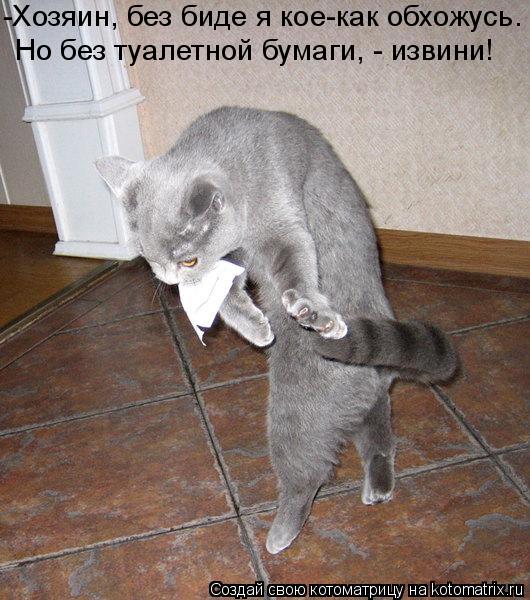 Котоматрица: -Хозяин, без биде я кое-как обхожусь. Но без туалетной бумаги, - извини!