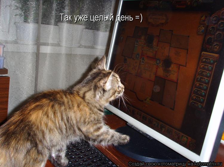 Котоматрица: Так уже целый день =)