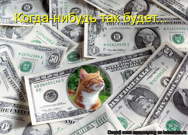 Котоматрица: Когда-нибудь так будет...