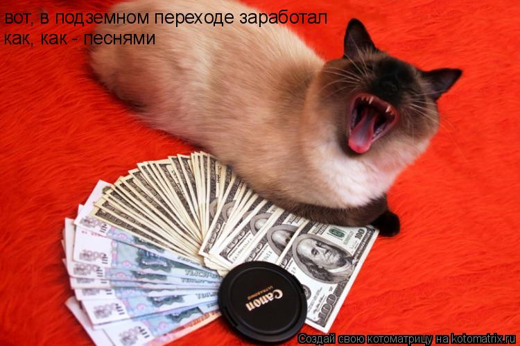Котоматрица: вот, в подземном переходе заработал как, как - песнями