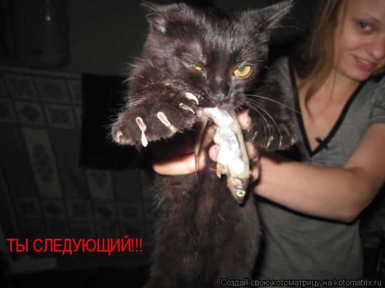 Котоматрица: ТЫ СЛЕДУЮЩИЙ!!!